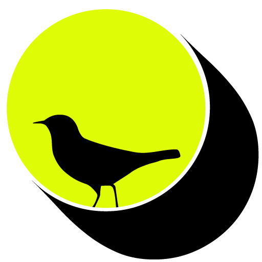 website designer & digital marketing