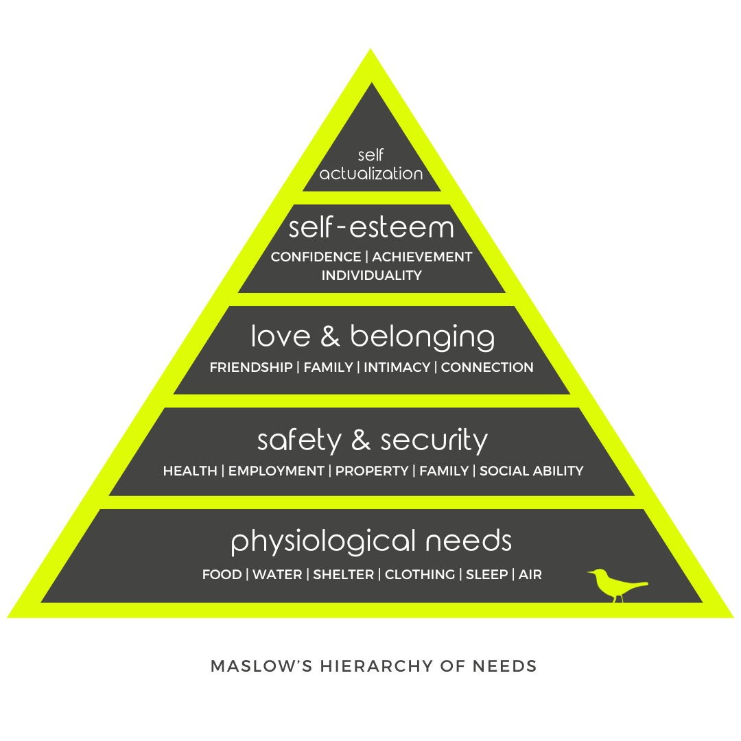 Maslow's hierarchy of needs